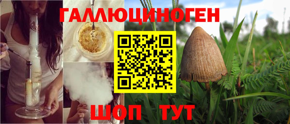 Псилоцибиновые грибы Psilocybine cubensis  Галлюциногенные грибы мухоморы  Кашира  Вход с VPN 